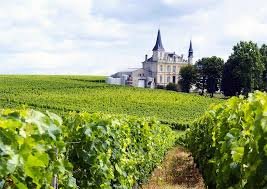 Best Bordeaux Walking Tours: Free and Guided Options