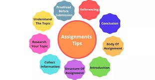 Expert Tips for Effective Assignment Writing