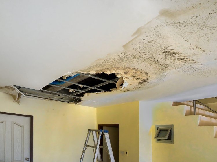 Roof Water Damage Repair Beverly Hills, CA